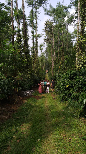Others 3, Heights Farm Stay - Nature Stay Near Madikeri, Kodagu