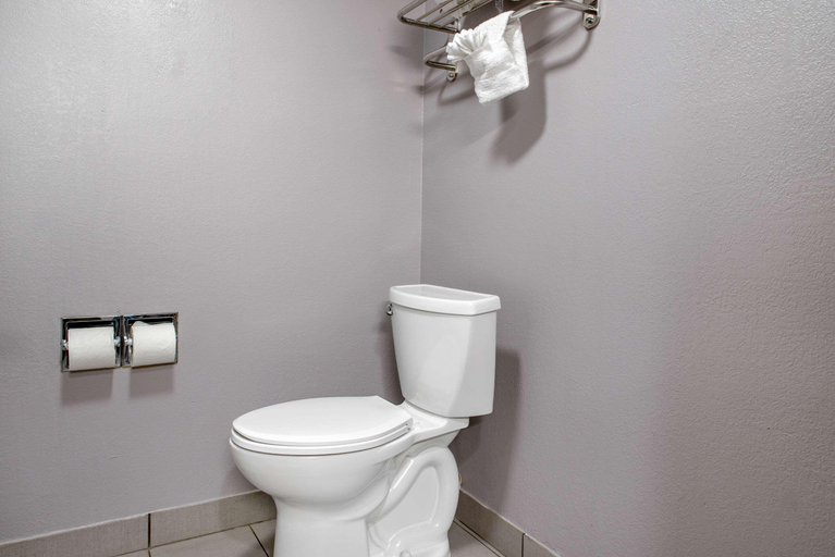 Bathroom 5, Quality Inn & Suites Bedford, Lawrence