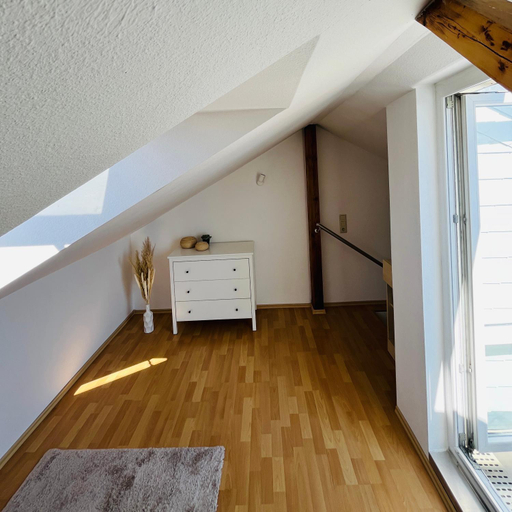 Others 4, Modernes Cityapartment nahe Schloss Pillnitz, Dresden
