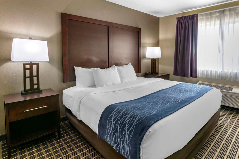 Bedroom 4, Comfort Inn Fort Collins North, Larimer