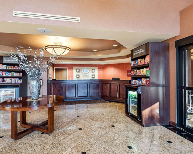 Public Area 3, Comfort Suites Dulles Airport, Fairfax