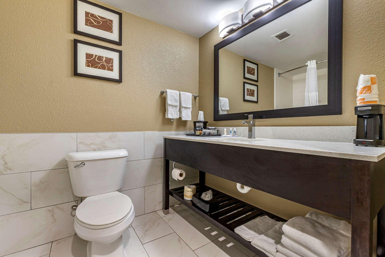 Bathroom 4, Comfort Inn & Suites Mocksville I-40, Davie