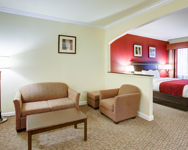 Public Area 2, Comfort Suites Texas Ave., Brazos