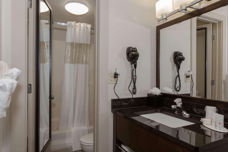 Bathroom 4, Ramada by Wyndham Boston, Boston