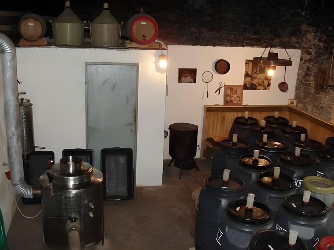Food & Drinks 4, Gastehaus Taner, Lienz