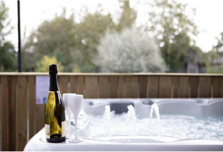 Others 2, La peniche de Fabrice avec Jacuzzi privatif, Bas-Rhin