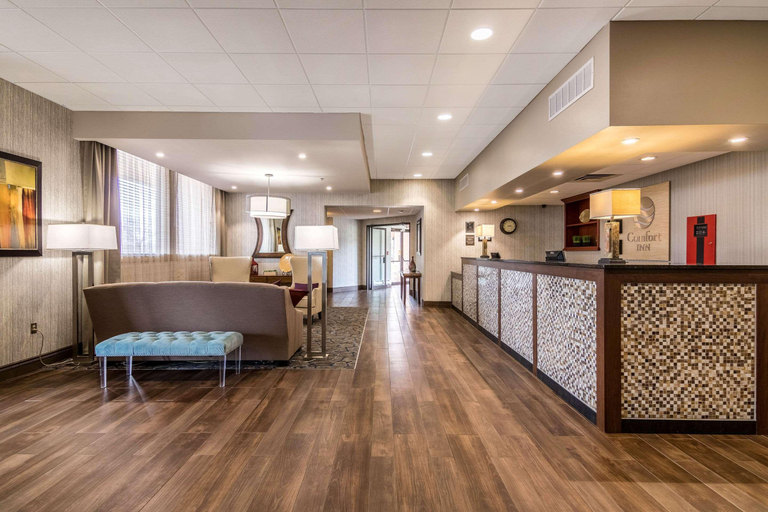 Public Area 2, Comfort Inn Plymouth-Minneapolis, Hennepin