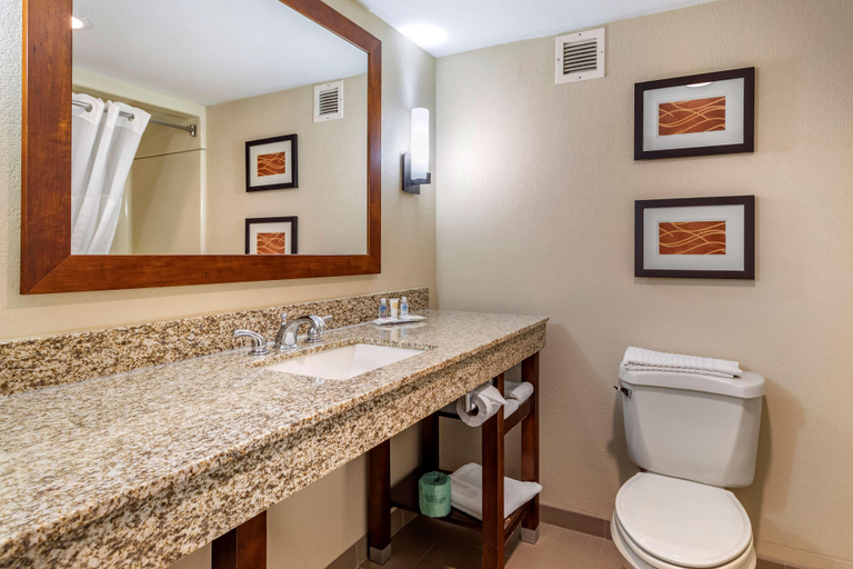 Bathroom 4, Comfort Inn West Asheville, Buncombe
