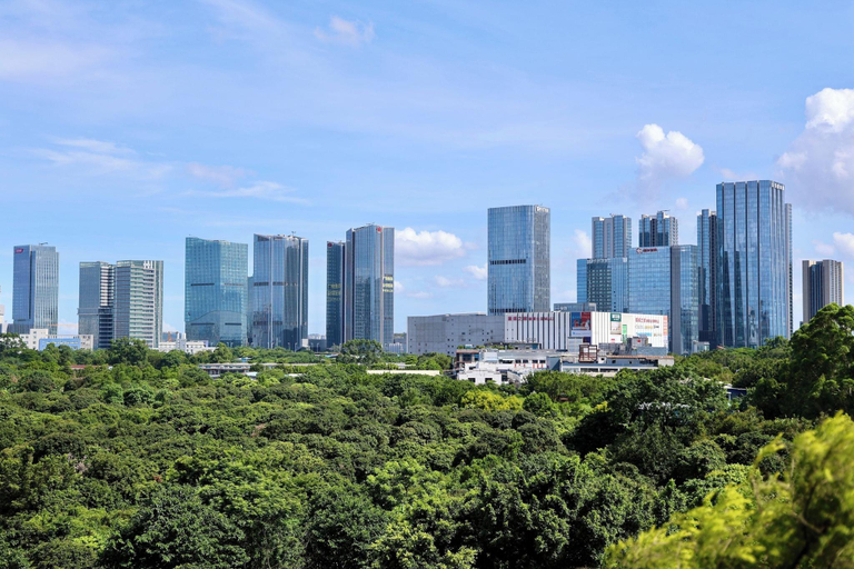Scenery 29