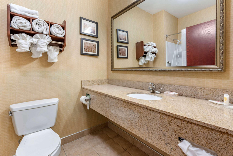 Bathroom 4, Comfort Suites Elkhart Area, Elkhart
