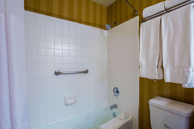 Bathroom 4, Clarion Suites St George - Convention Center Area, Washington