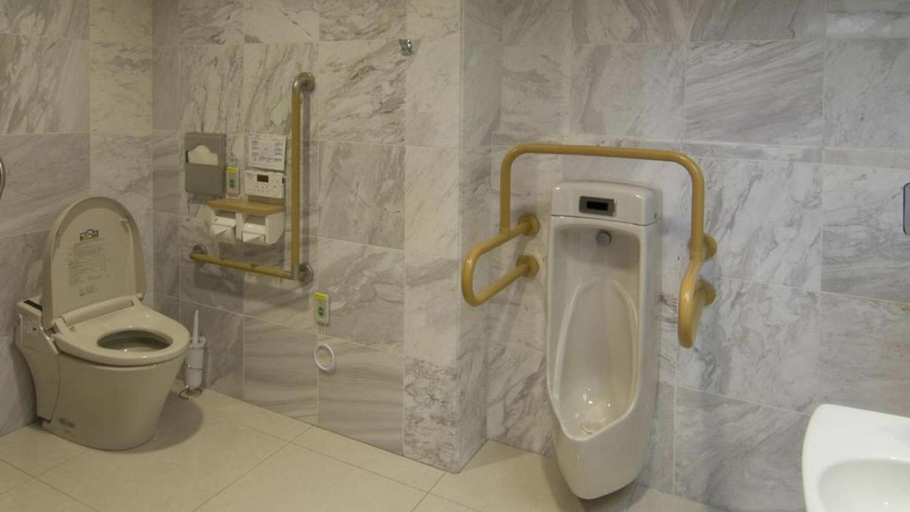 Bathroom 4, Toyoko Inn Shonan Chigasaki-eki Kita-guchi, Chigasaki