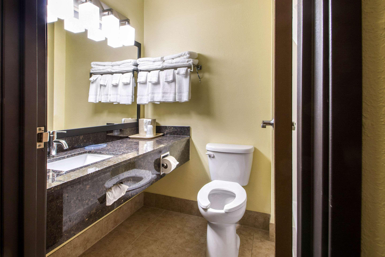 Bathroom 4, Quality Inn & SUI Wisconsin Dells DWNTN-Waterparks, Sauk