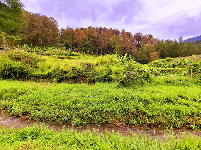 Scenery 2