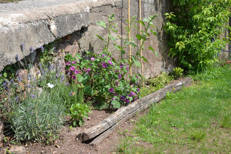 Garden 2, Kristplonerhof, Bolzano