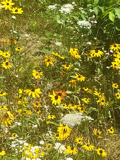 Others 4, Pleasant Place II Victor Countryside, Ontario