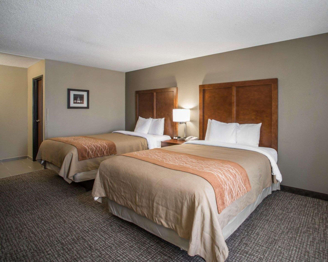 Bedroom 4, Comfort Inn & Suites Hazelwood - St. Louis, Saint Louis