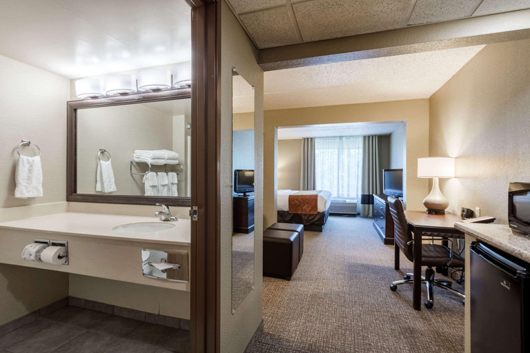 Bathroom 5, Comfort Suites Austin Airport, Travis