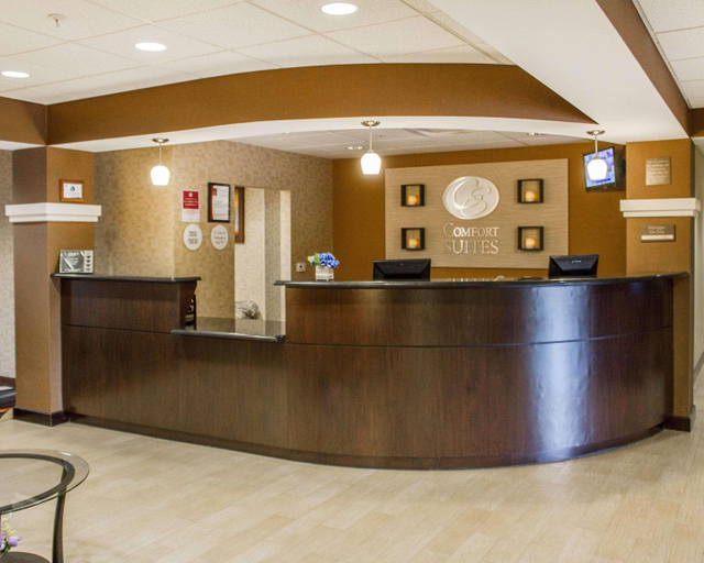 Public Area 2, Comfort Suites Lewisburg near University, Union