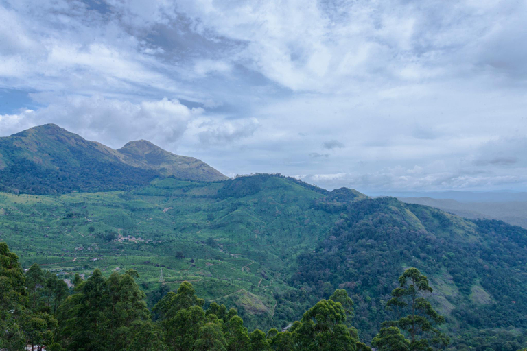 Others 2, Mount Valley Resort - A Secluded Getaway, Idukki