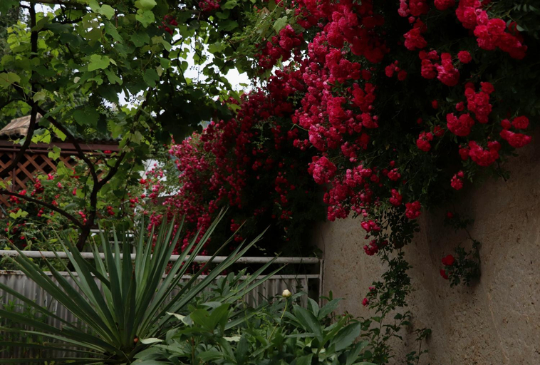Others 4, Guesthouse Dilsun