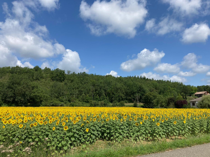 Others 4, Quiet double ensuite room, own entrance, Tarn-et-Garonne