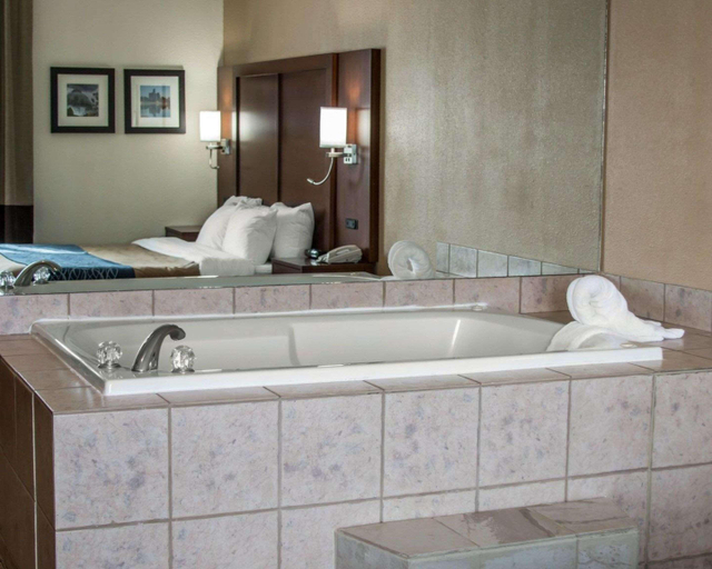 Bathroom 4, Garner Hotel Warren Northwest by IHG, Macomb