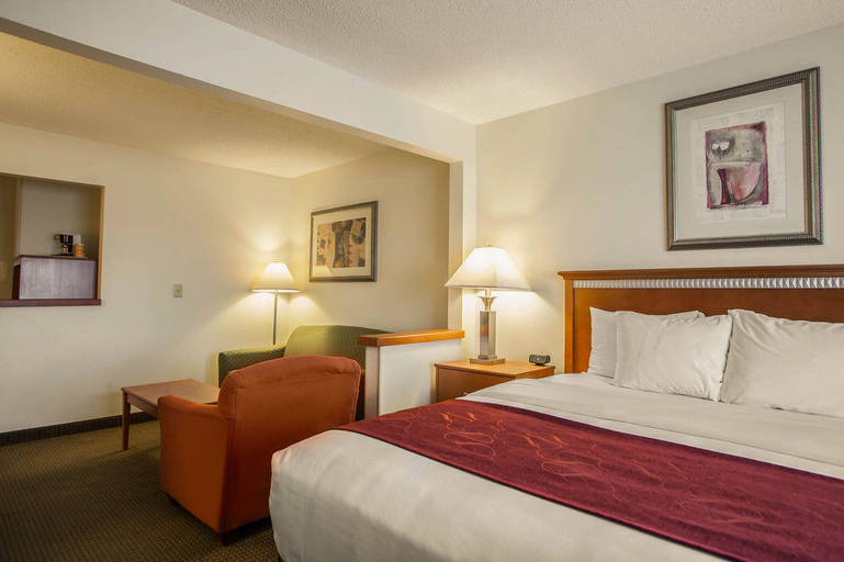 Bedroom 4, Comfort Suites Normal University area, McLean