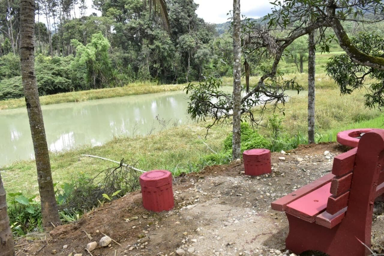 Others 5, Camp coorg estate homestay, Kodagu