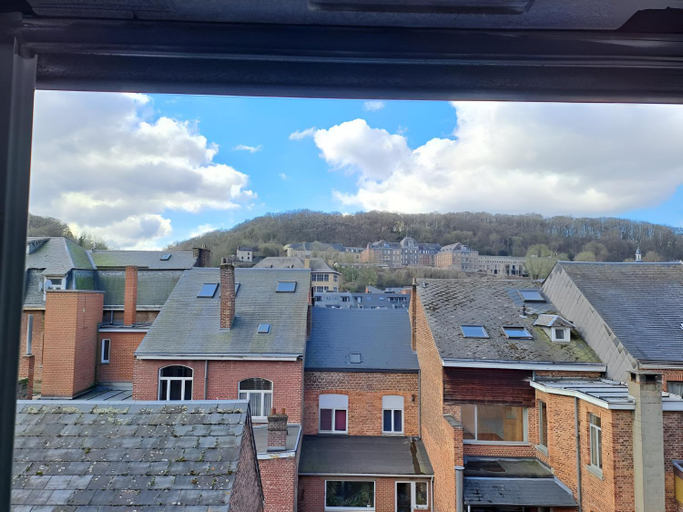 Others 3, O Reflets - Citabelle for 3 - Studio 2 beds view "Citadelle", Namur