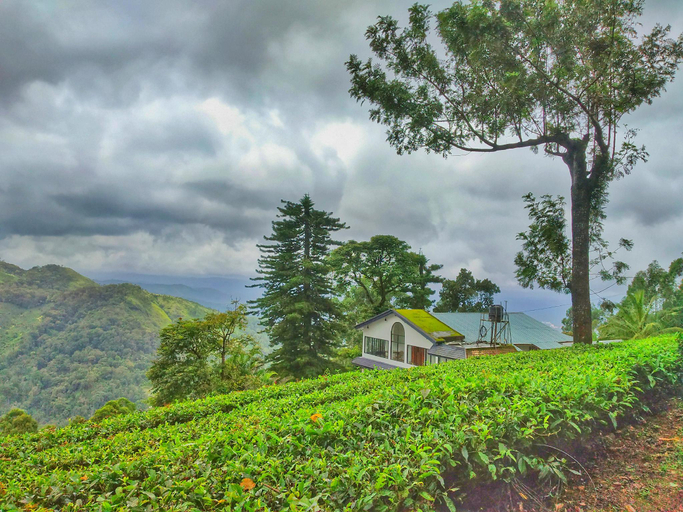 Others 3, Mount Valley Resort - A Secluded Getaway, Idukki
