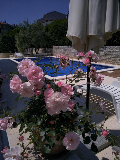 Sport & Beauty 2, Villa Gregovica, Pula