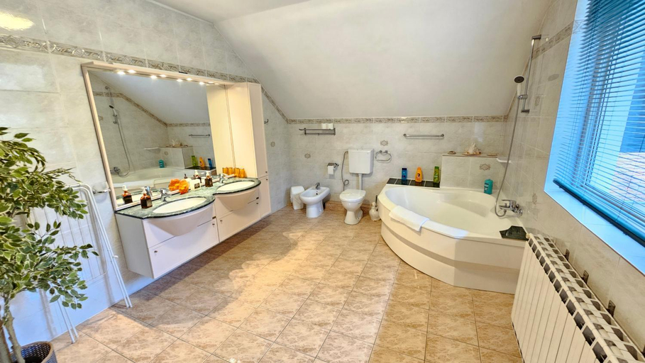 Bathroom 2, Casa Vanatorului, Sighisoara