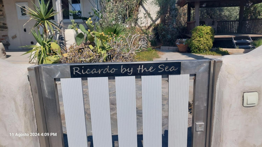 Others 4, Ricardo by the sea, South Aegean