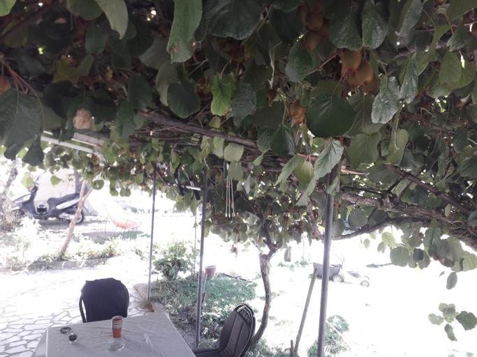 Others 5, Hostel Struga