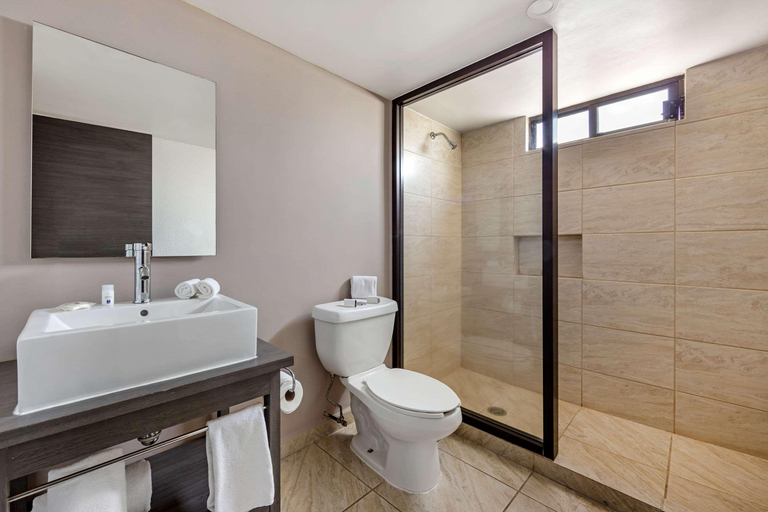 Bathroom 5, Comfort Inn Queretaro Querétaro, Querétaro