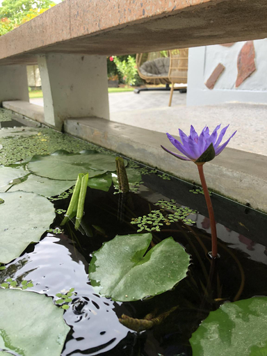 Sport & Beauty, Ban Soi San Sook Homestay, Muang Songkhla