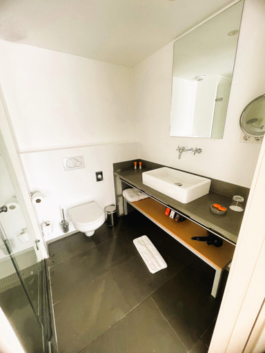 Bathroom 4, Hotel Alzinn, Luxembourg