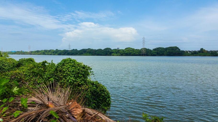 Others 5, River View Mangalore, Dakshina Kannada