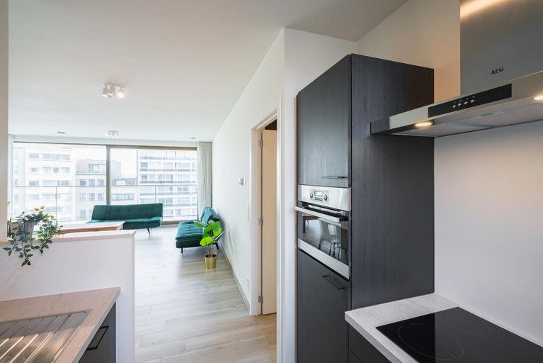 Others 2, Cozy Antwerp City Apartment for 5, Antwerpen