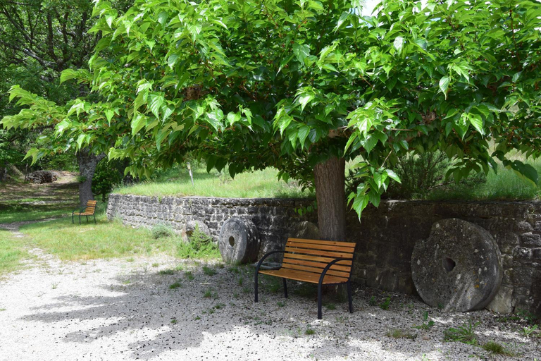 Others 3, La Chambre des Amis au Moulin des GYPSES, Ventoux, Vaucluse