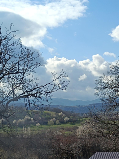 Others 4, Casa Tonyza, Cisnadie