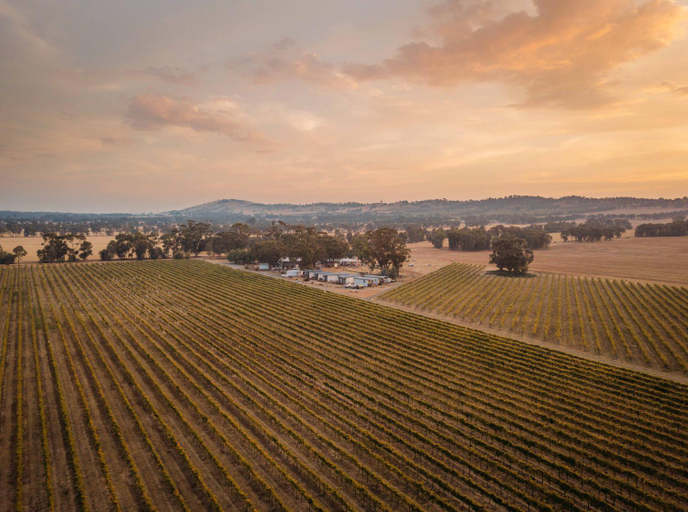 Others 3, Vineyard Views at Shiraz Republic, Campaspe - South
