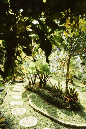 Surrounding environment