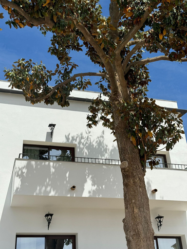 Exterior & Views 2, CASA YANGUAS APARTAMENTOS RURALES, Almería