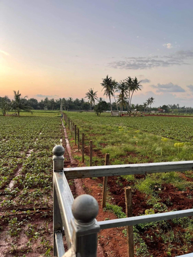 Others 2, thurai guest house, Valikamam South