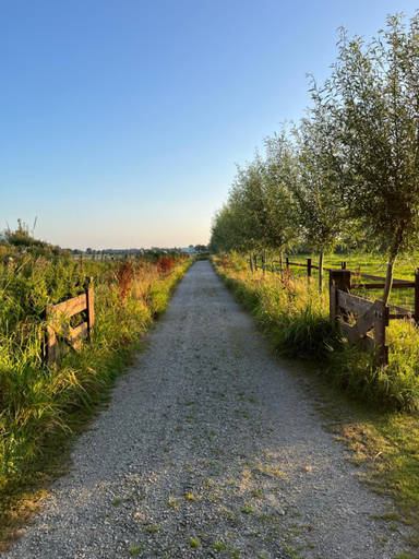 Others 3, Fields 1216, Haarlemmermeer