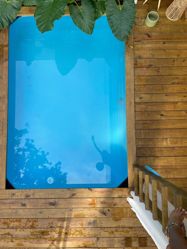 Sport & Beauty 4, Monkey Tiny House - Private swimming pool, Bocas del Toro