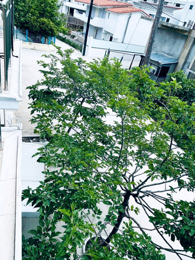 Others 4, A & A APARTMENTS 2, Thessaly