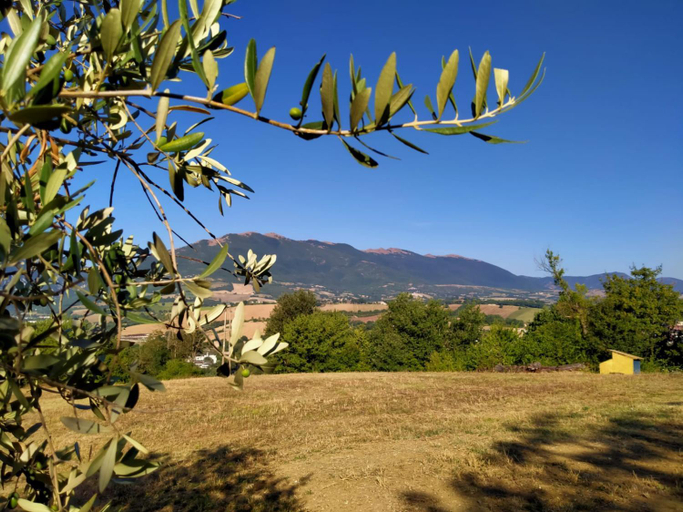 Others 5, Agriturismo Il Colle Del Contadino, Macerata